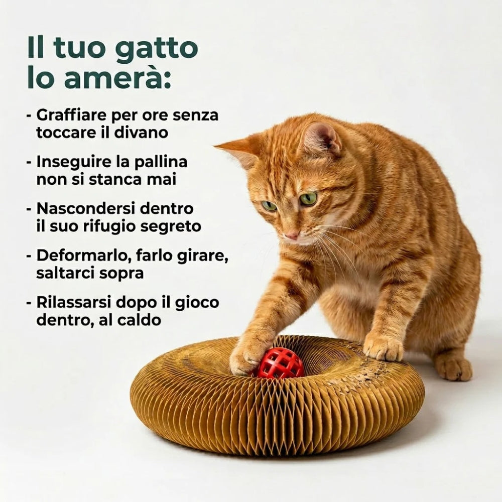 Tiragraffi per Gatti