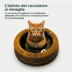 Tiragraffi per Gatti