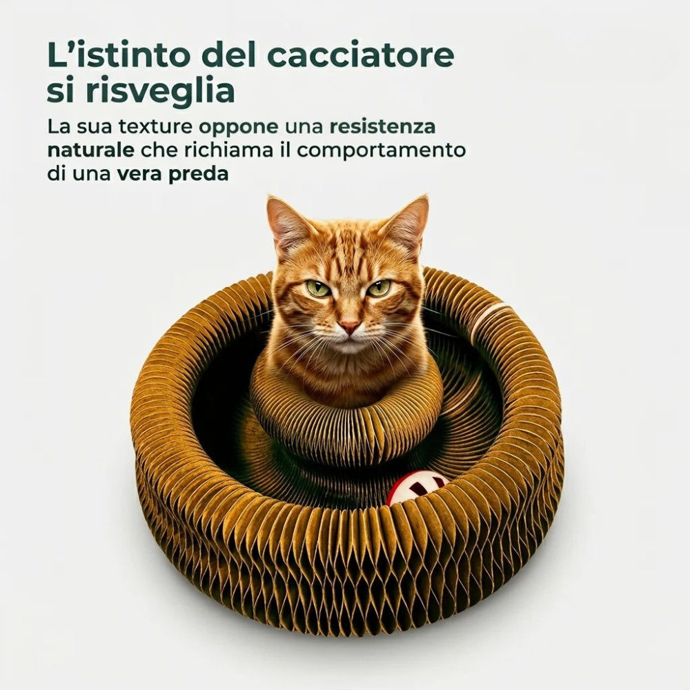 Tiragraffi per Gatti